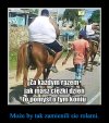 I tylko konia żal