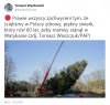 Polski akcent w Watykanie