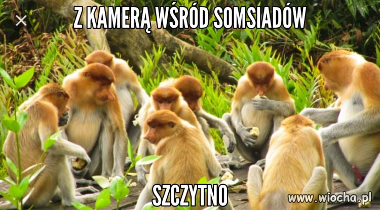 Polskie miasta...