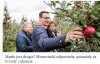 Kiedyś już to było