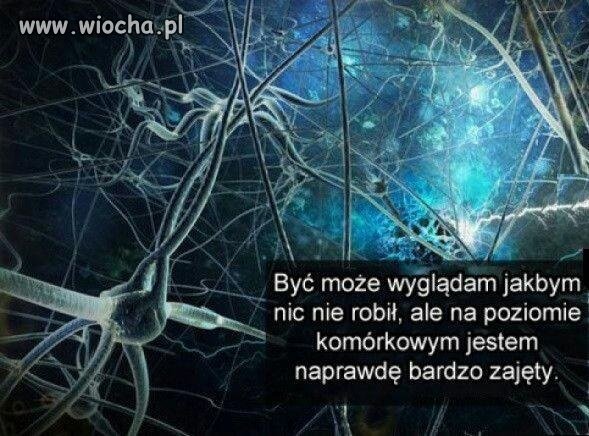 Kiedy mama mówi że nic nie robię