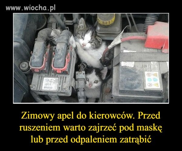 Apel do kierowców. 