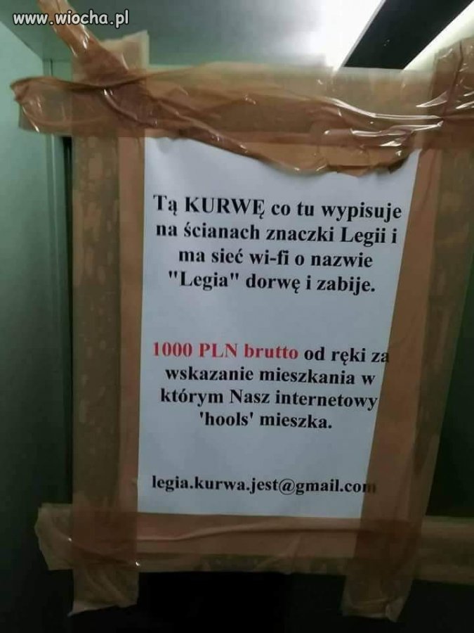 List gończy