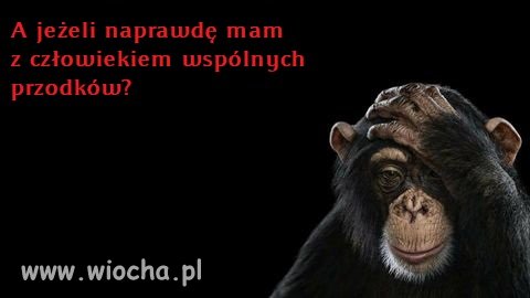 Rodziny się nie wybiera