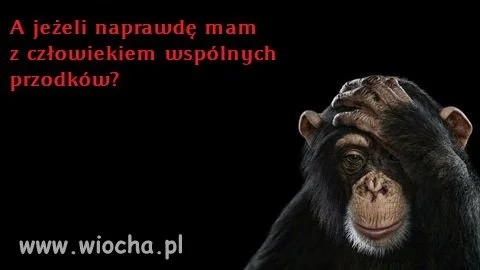 Rodziny się nie wybiera