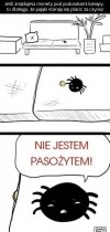 Nie zabijaj pająków