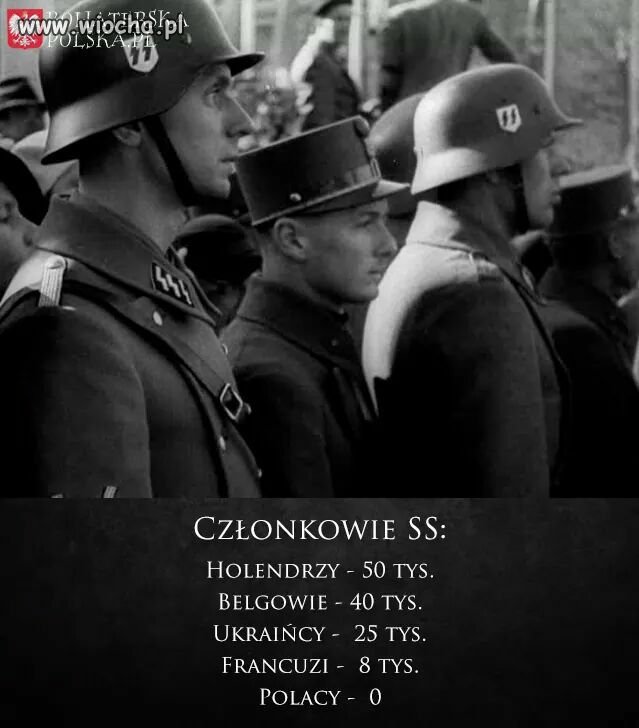 Opis poniżej...