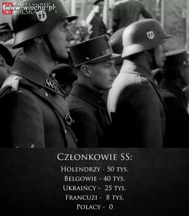 Opis poniżej...