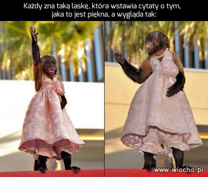 Chodząca piękność