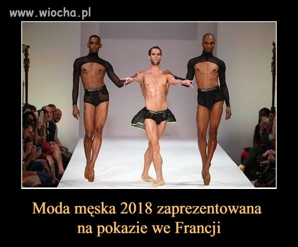 Dokąd zmierzasz modo?! 