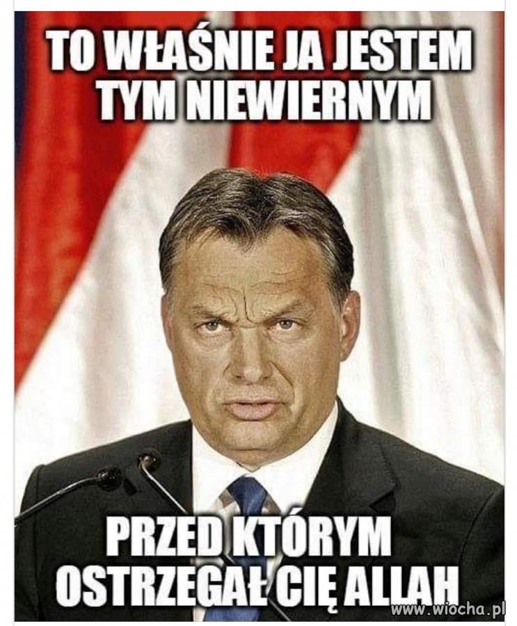 Lubię tego gościa a Wy ?