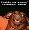 Wymsknęło mi się