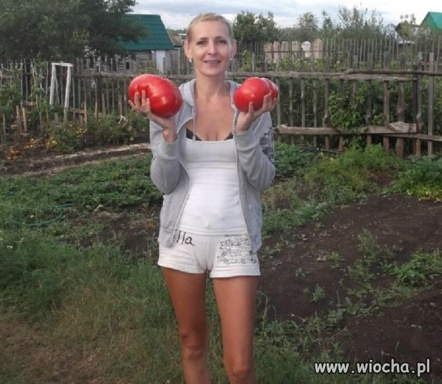 Okolice Czernobyla