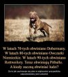 Najbardziej śmieszą mnie mięśniaki z yorkami