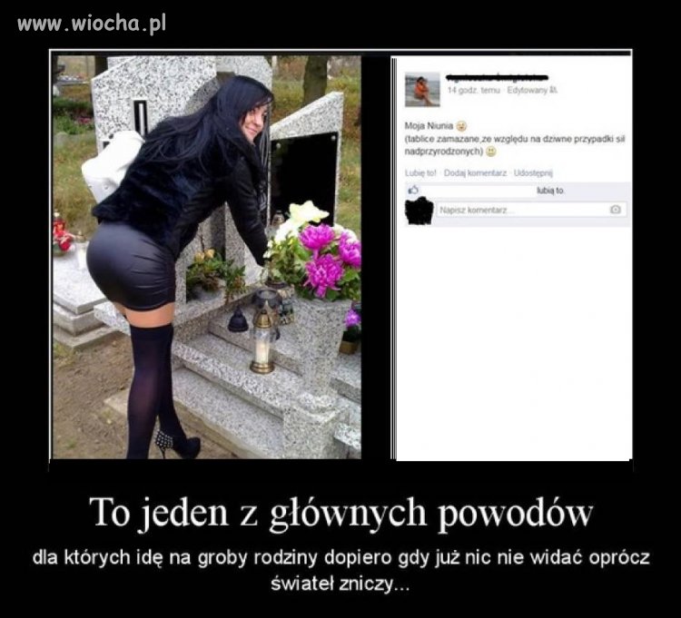 Powód