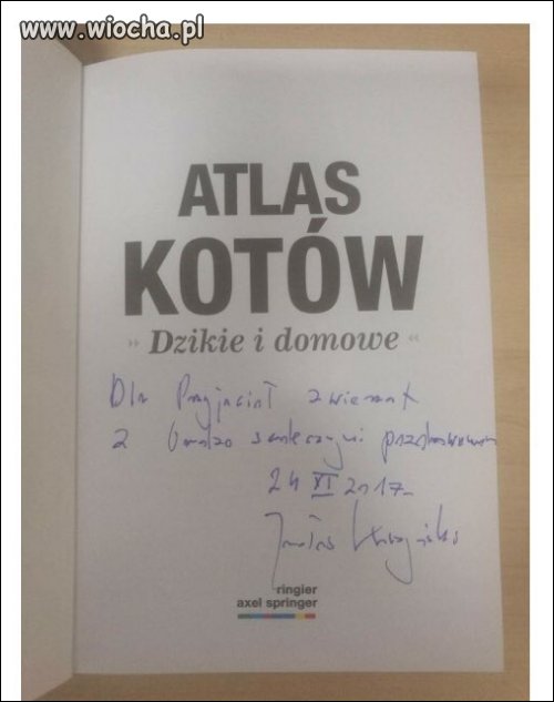 Atlas Kotów na aukcji-podarunek od prezesa