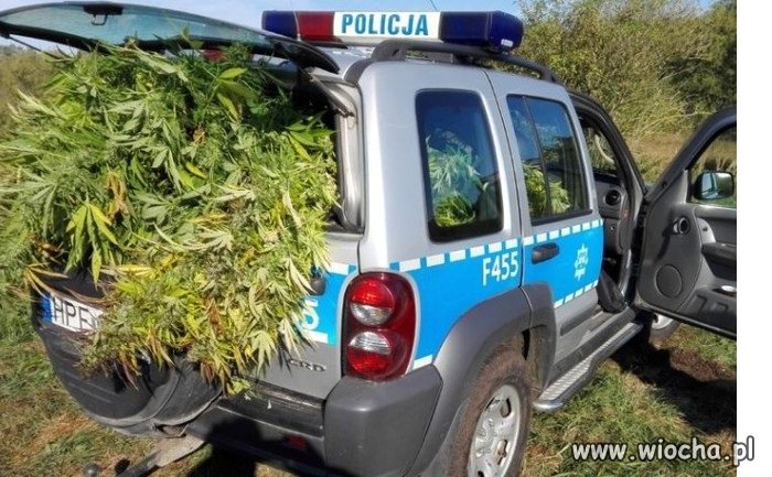 Zabezpieczyli towar