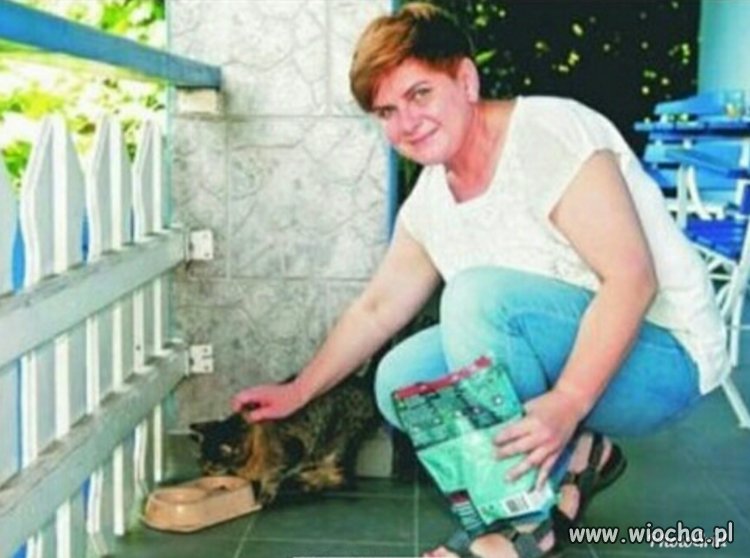 To uczucie gdy tak dobrze zajmujesz się kotem