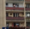 Gdy żona poszła na zakupy, a lodówka pusta