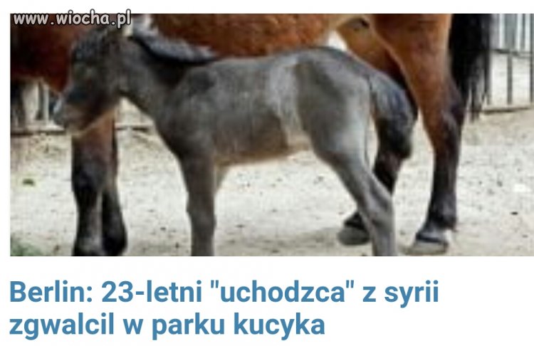 Postęp w zachodniej europie