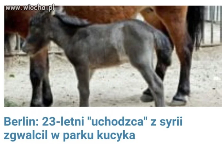 Postęp w zachodniej europie