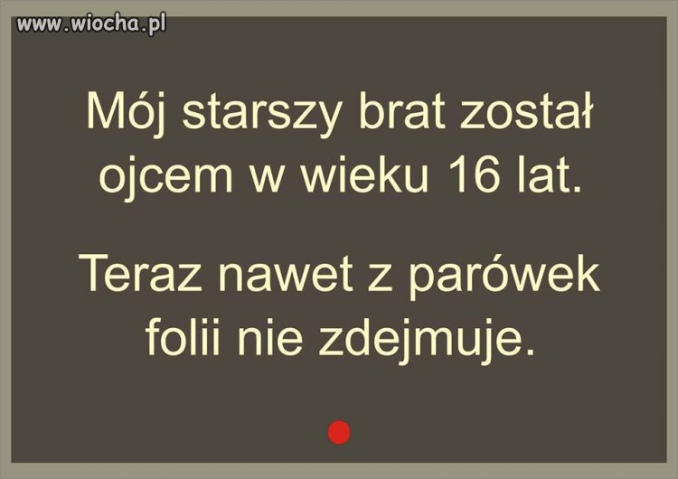 Mądry po szkodzie