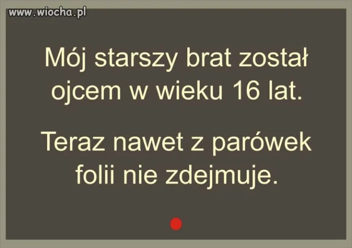Mądry po szkodzie