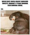 Najlepiej, żeby jeszcze gotował i był niewidomy
