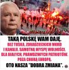 Niemcy poparli Hitlera, gdyż obiecał i dał im to czego potrzebowali