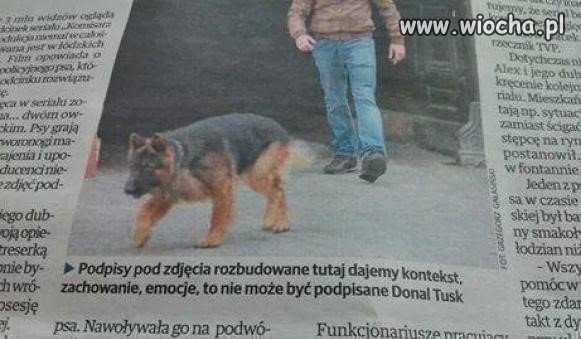 Wpadka w gazecie