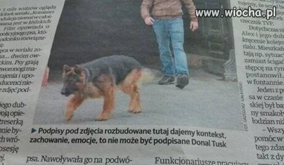 Wpadka w gazecie