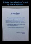 Sąsiedzi