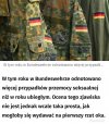 Bez zagłębienia się w treść artykułu