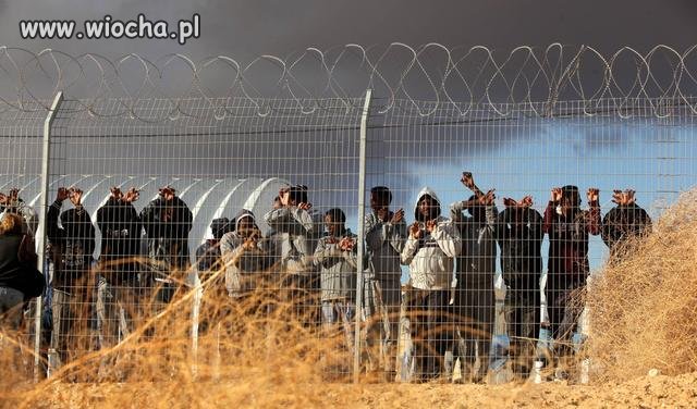 Izrael deportuje ponad 30 tys nielegalnych migrantów...