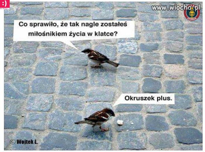 Przekupiony