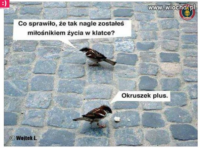 Przekupiony