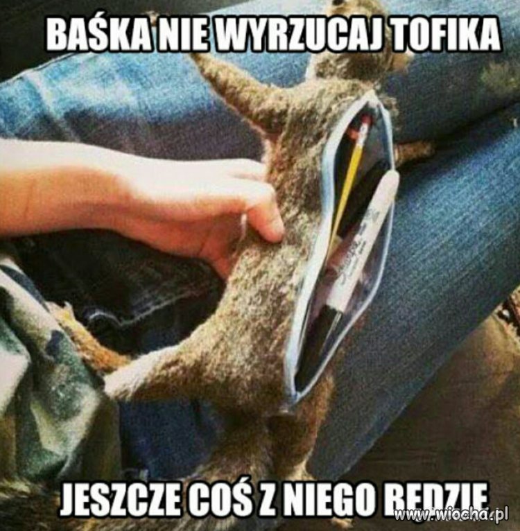 Recykling najwyższy poziom