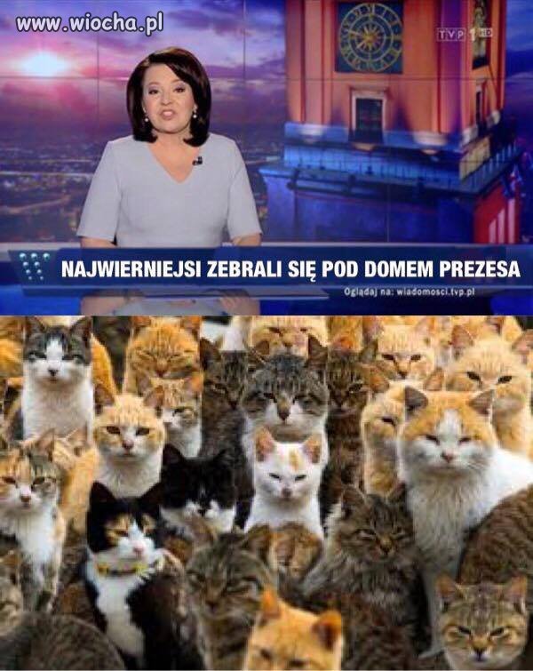 Wierni