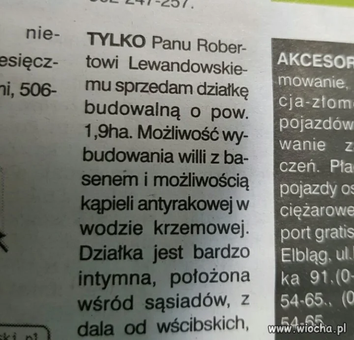 Mistrz marketingu?