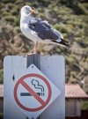 No kuźwa