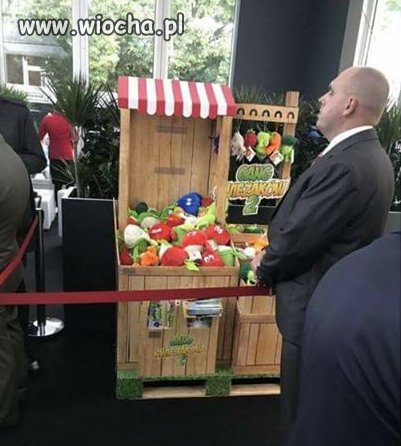 Kraj absurdów