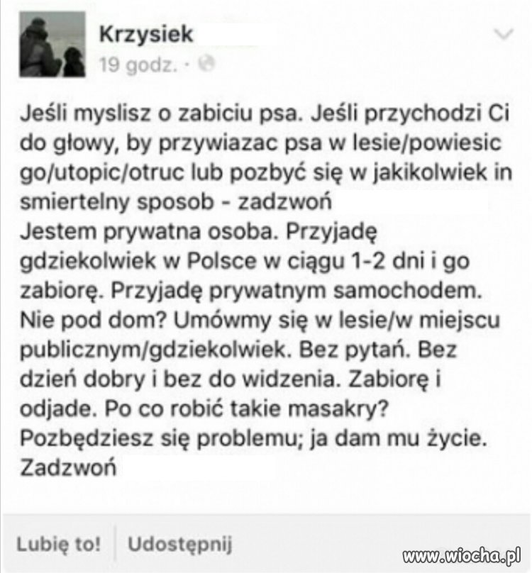Szacun!