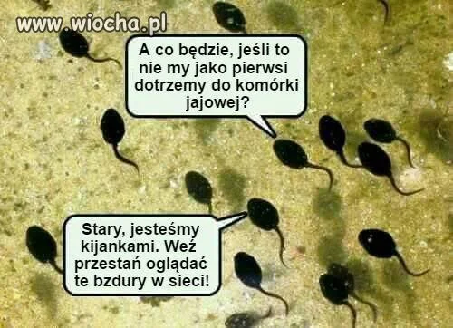 Wszystko fajne ale ...
