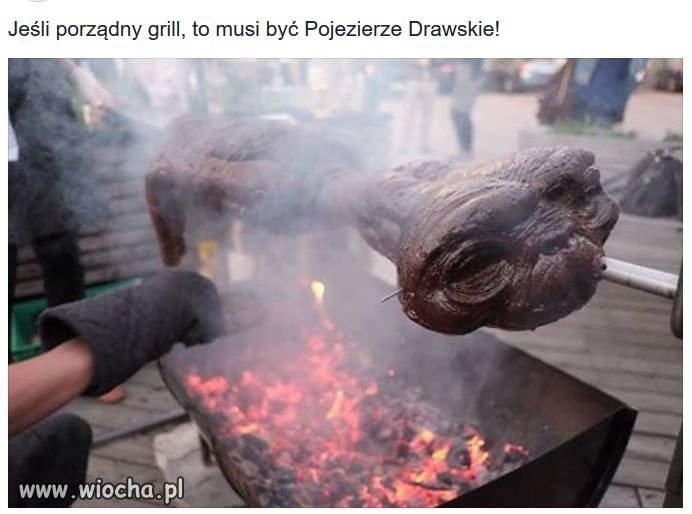 Nie będzie kolejnych części E.T.