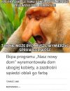 TO MI SIĘ TEN REMONT NALEŻOŁ
