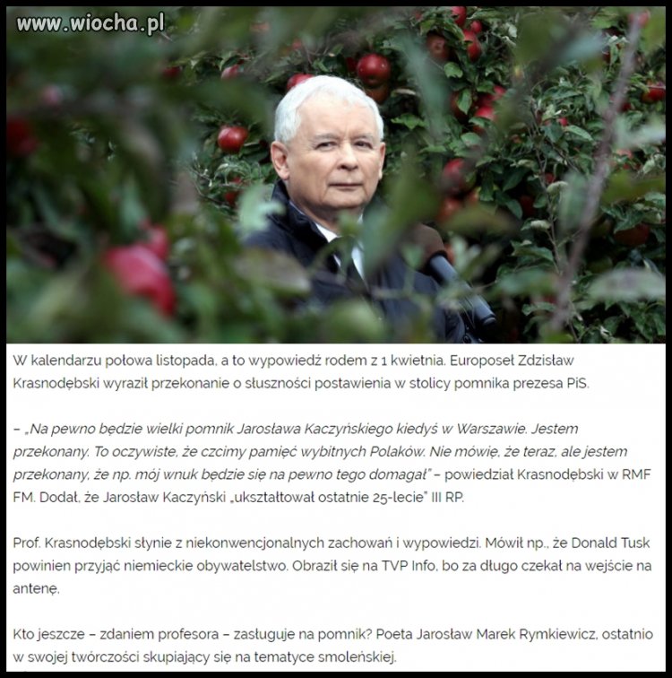 Wielka kaczka na placu Piłsudskiego