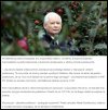 Wielka kaczka na placu Piłsudskiego