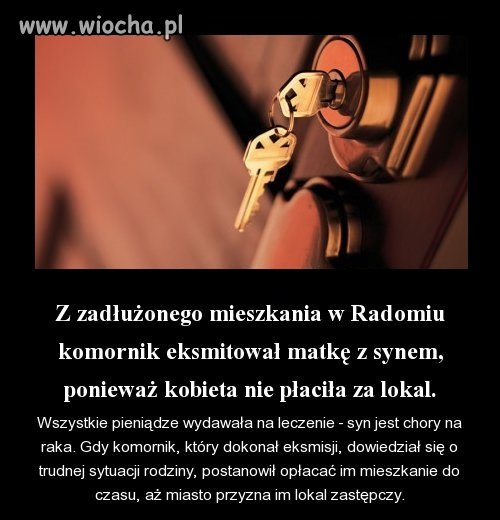 Jednak ludzie potrafią