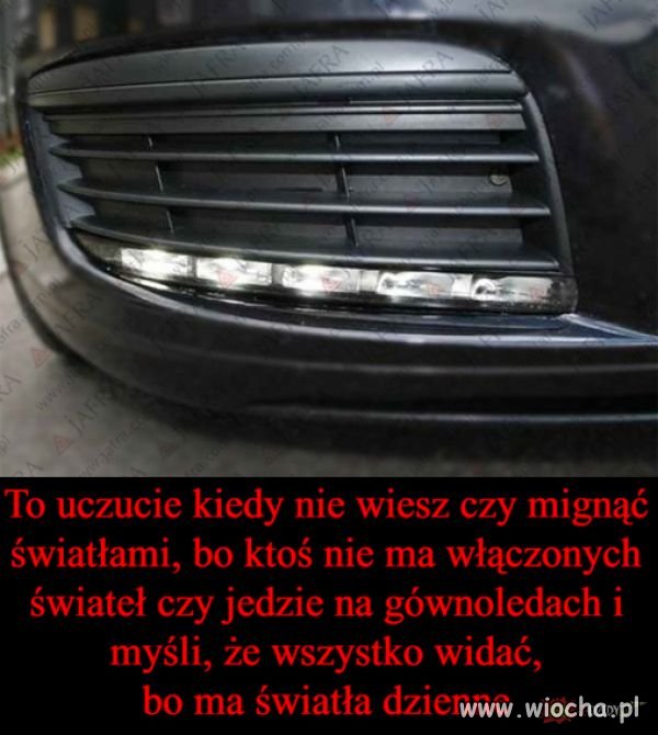 Ledy