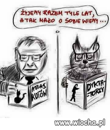 Oko za oko